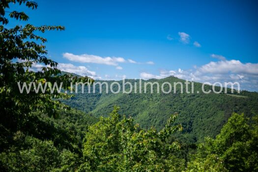 Antico Borgo in Alta Langa