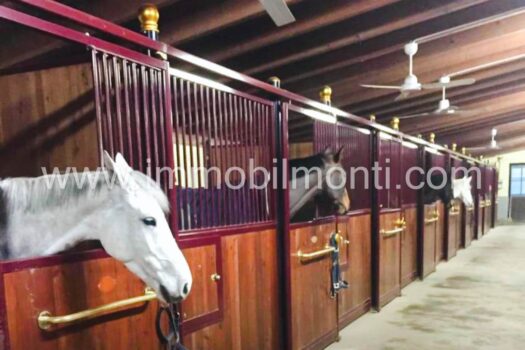 Prestigiosa Tenuta Rinco