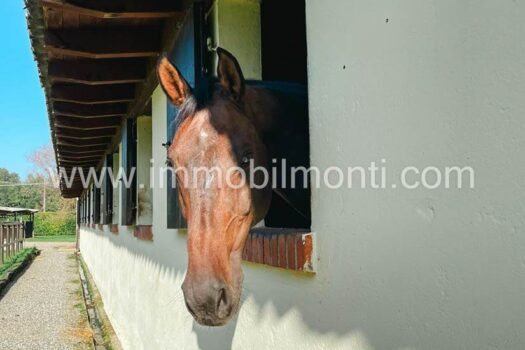 Prestigiosa Tenuta Rinco