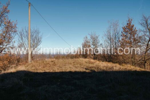 Antica Cascina del Cavallo