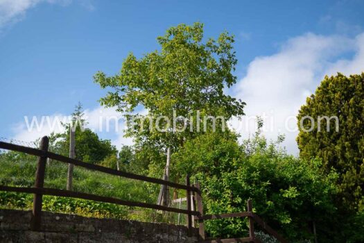Roccaverano – Prestigioso Casale in Pietra nelle Langhe Astigiane con 10 ettari di terreno