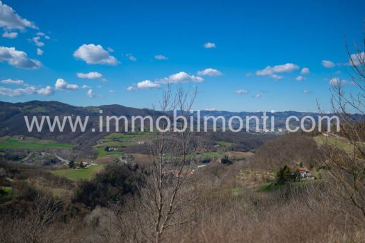 Villa Bellavista Monferrato