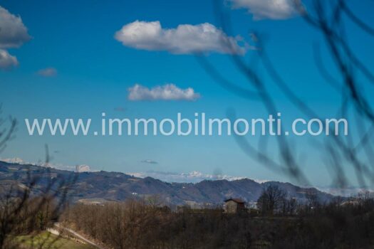 Villa Bellavista Monferrato