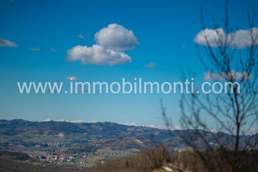 Villa Bellavista Monferrato