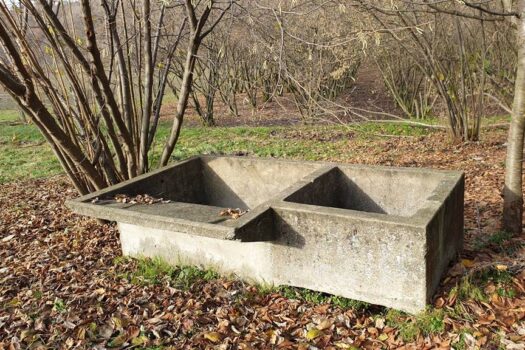 Cascina delle Langhe