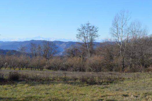 Cascina delle Langhe