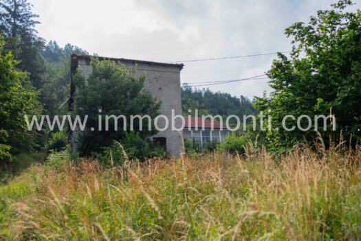 Cascina delle Langhe