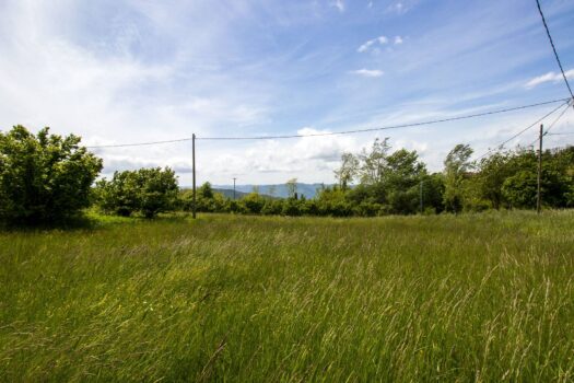 Cascina delle Langhe