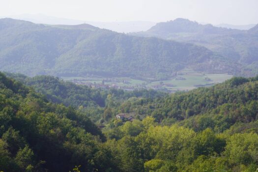 Tenuta dello Scoiattolo