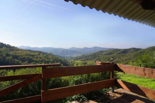 Tenuta dello Scoiattolo