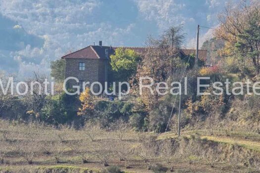 Il Casale dell’Ulivo