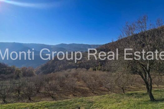 Il Casale dell’Ulivo