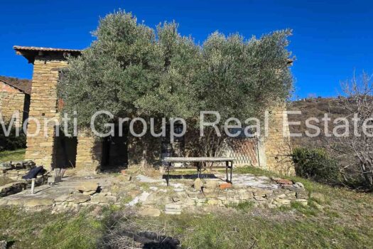 Il Casale dell’Ulivo