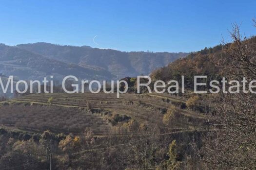 Il Casale dell’Ulivo