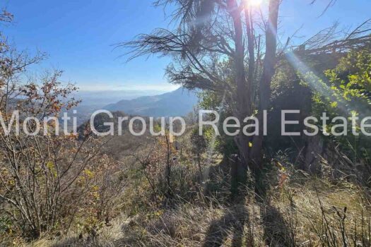 Il Casale dell’Ulivo