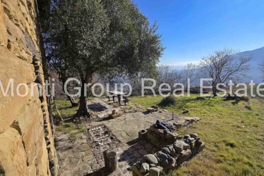 Il Casale dell’Ulivo