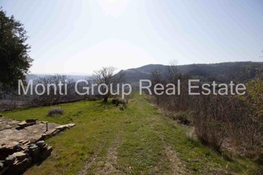 Il Casale dell’Ulivo