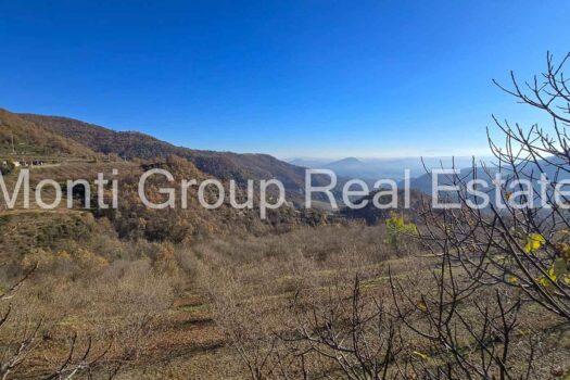 Il Casale dell’Ulivo