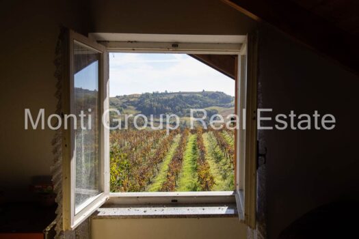 Tenuta del Moscato
