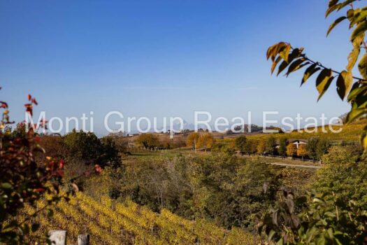 Tenuta del Moscato