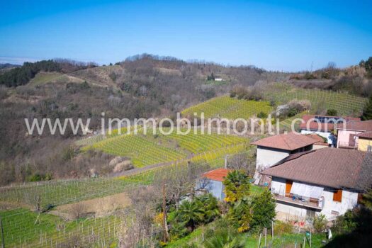 Cascina Ronco