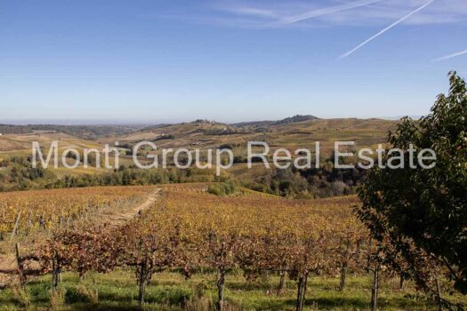 Tenuta del Moscato