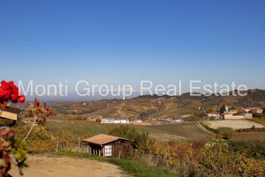 Tenuta del Moscato
