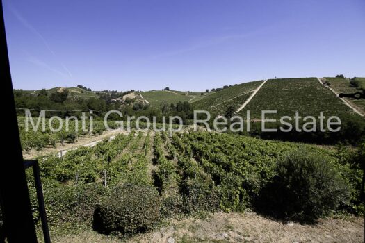 Antica Cascina del Passito
