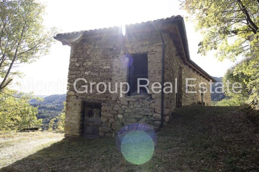 Cascina Torre – Langhe -Piedmont Italy