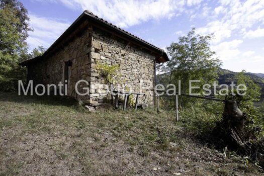 Cascina Torre – Langhe -Piedmont Italy