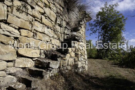 Cascina Torre – Langhe -Piedmont Italy